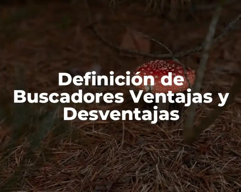 Definición de Buscadores Ventajas y Desventajas