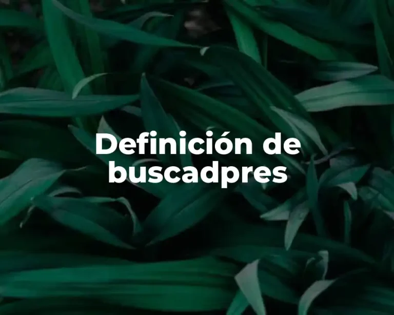 Definición de buscadpres