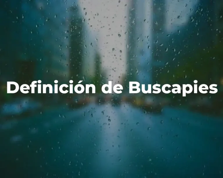 Definición de Buscapies