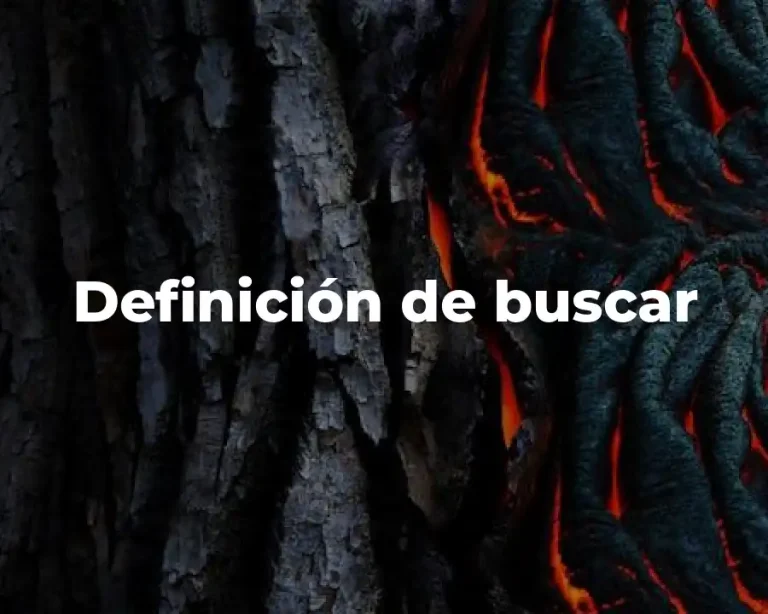 Definición de buscar