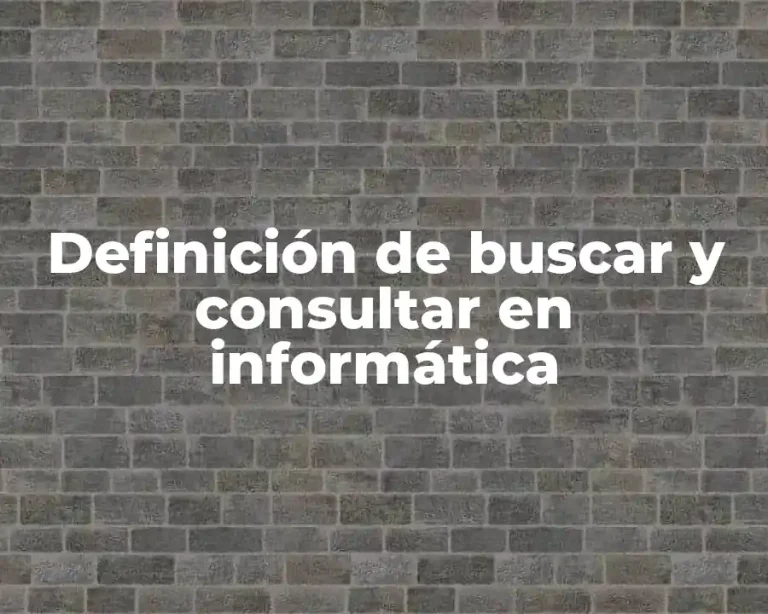 Definición de buscar y consultar en informática