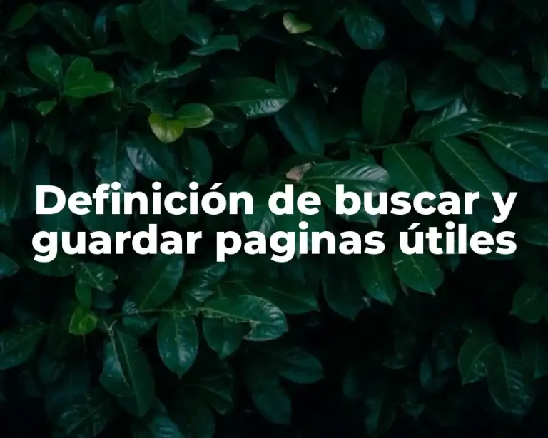 Definición de buscar y guardar paginas útiles