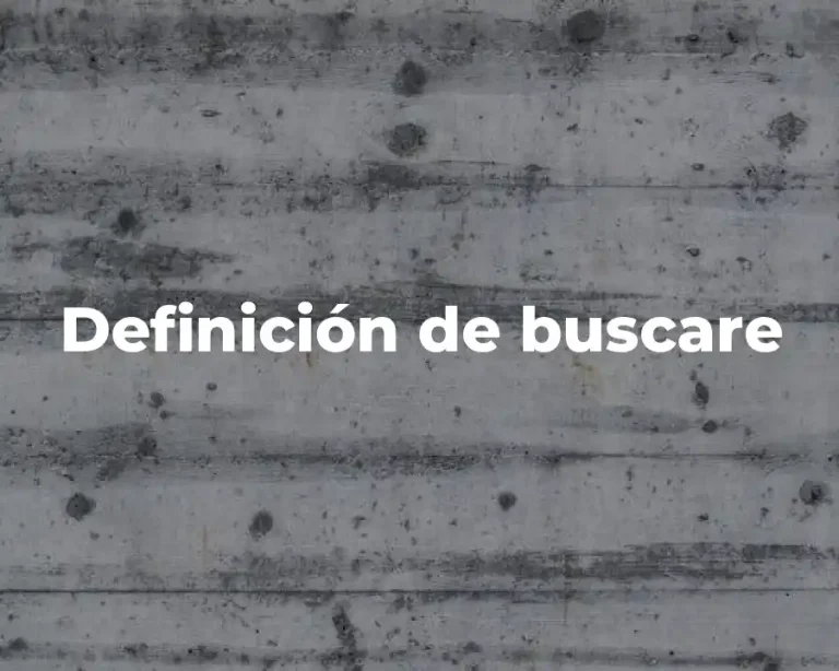 Definición de buscare