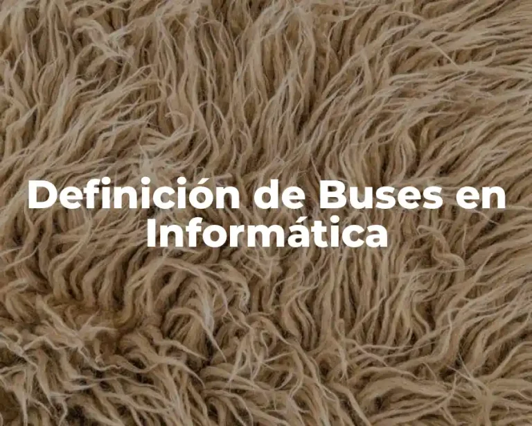 Definición de Buses en Informática