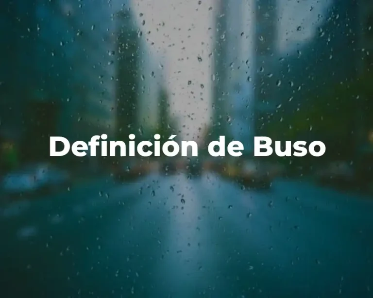 Definición de Buso