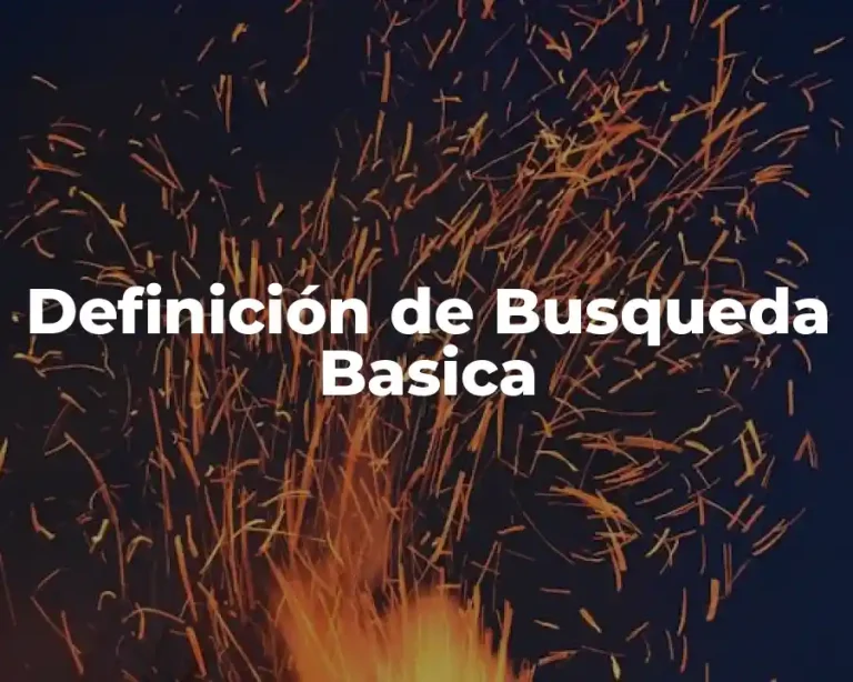 Definición de Busqueda Basica