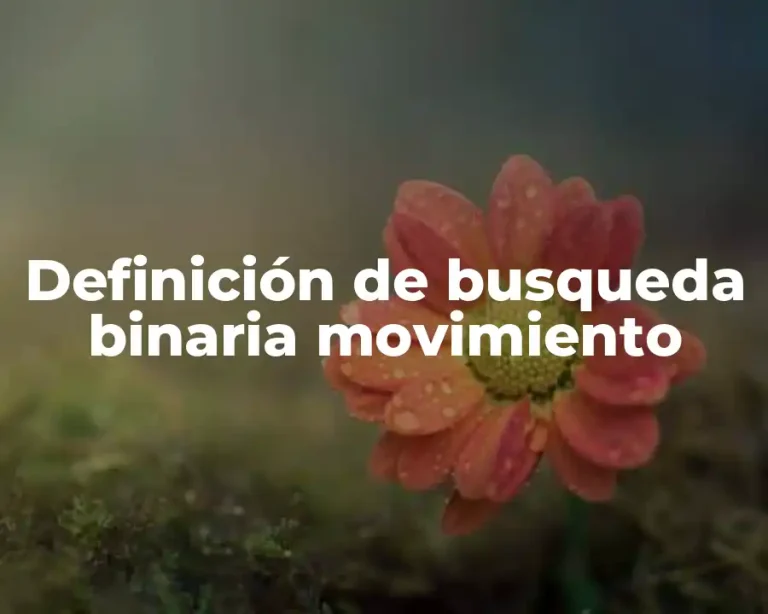 Definición de busqueda binaria movimiento