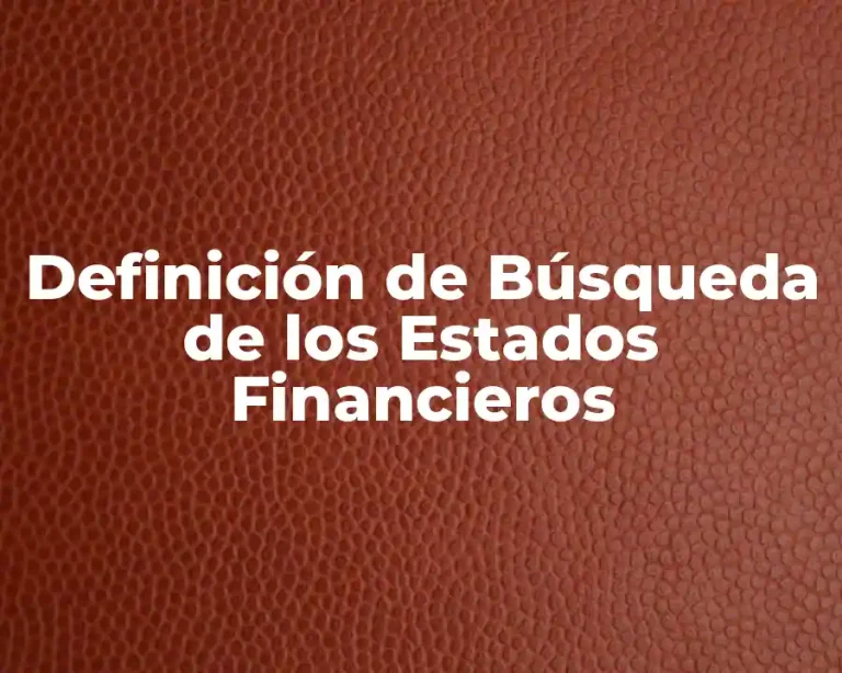 Definición de Búsqueda de los Estados Financieros