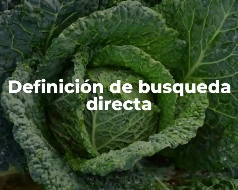Definición de busqueda directa