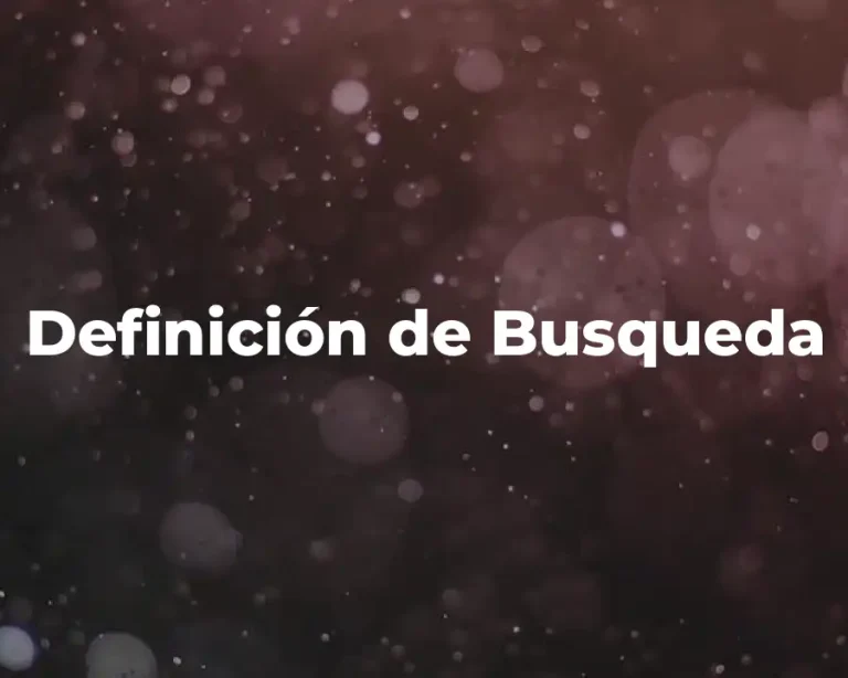 Definición de Busqueda