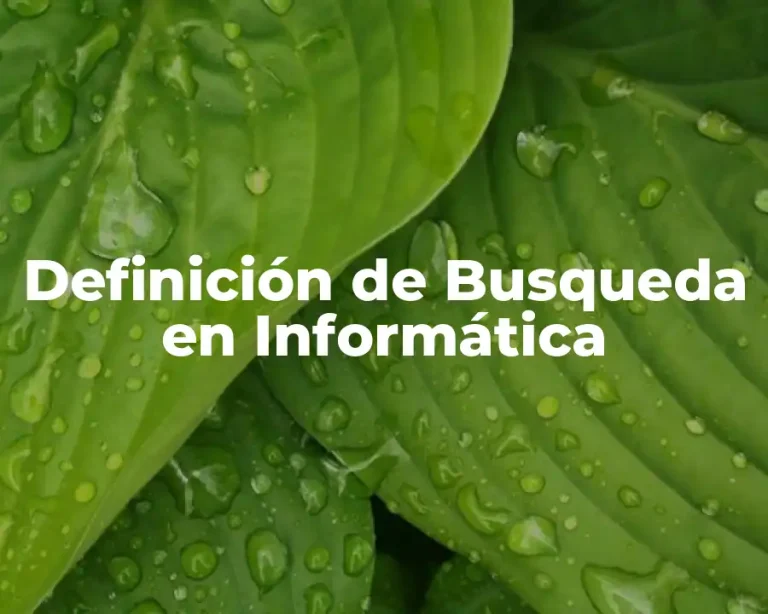 Definición de Busqueda en Informática