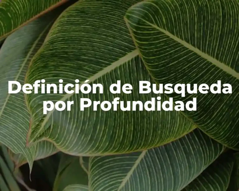 Definición de Busqueda por Profundidad