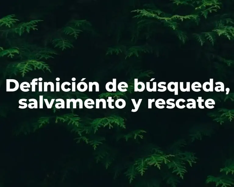 Definición de búsqueda, salvamento y rescate