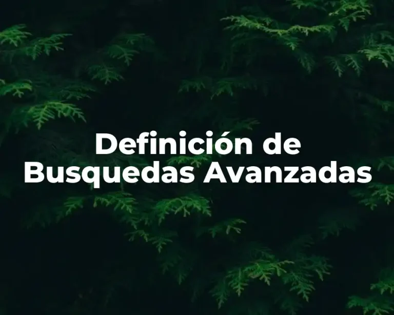 Definición de Busquedas Avanzadas