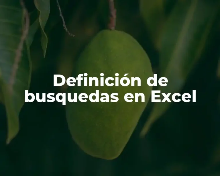 Definición de busquedas en Excel