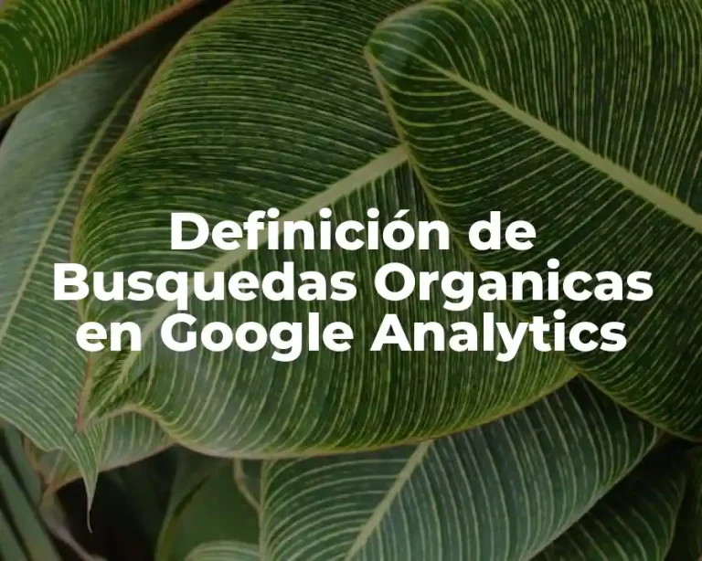 Definición de Busquedas Organicas en Google Analytics