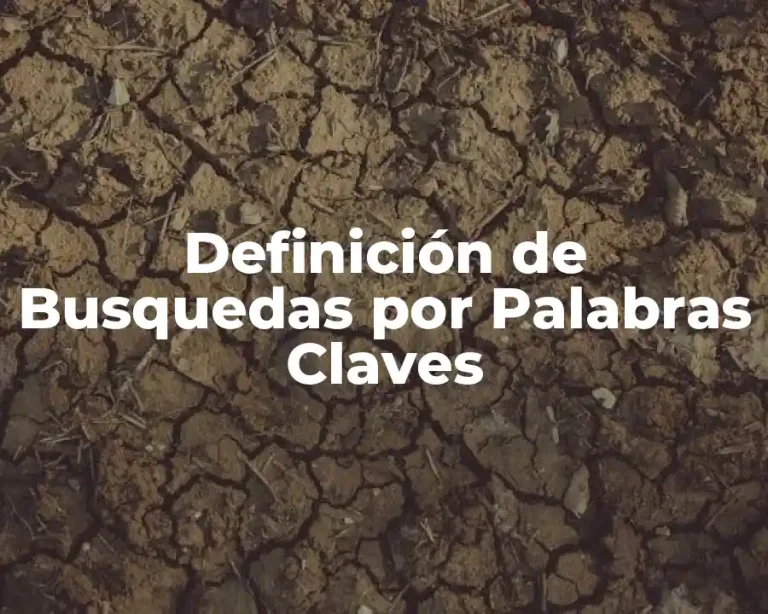 Definición de Busquedas por Palabras Claves