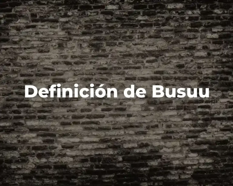 Definición de Busuu