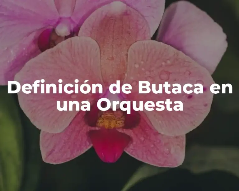 Definición de Butaca en una Orquesta