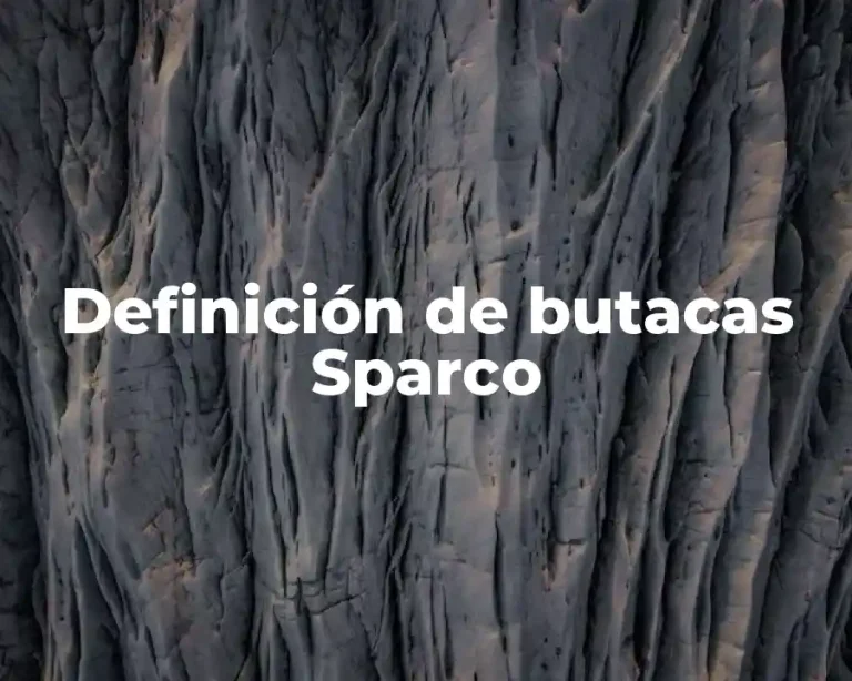 Definición de butacas Sparco