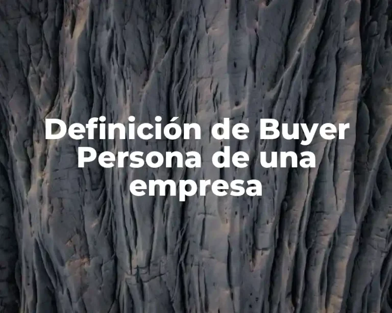 Definición de Buyer Persona de una empresa