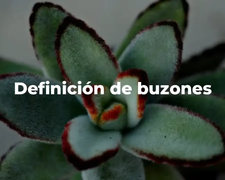 Definición de buzones