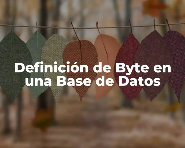 Definición de Byte en una Base de Datos