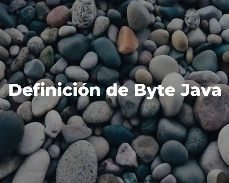 Definición de Byte Java
