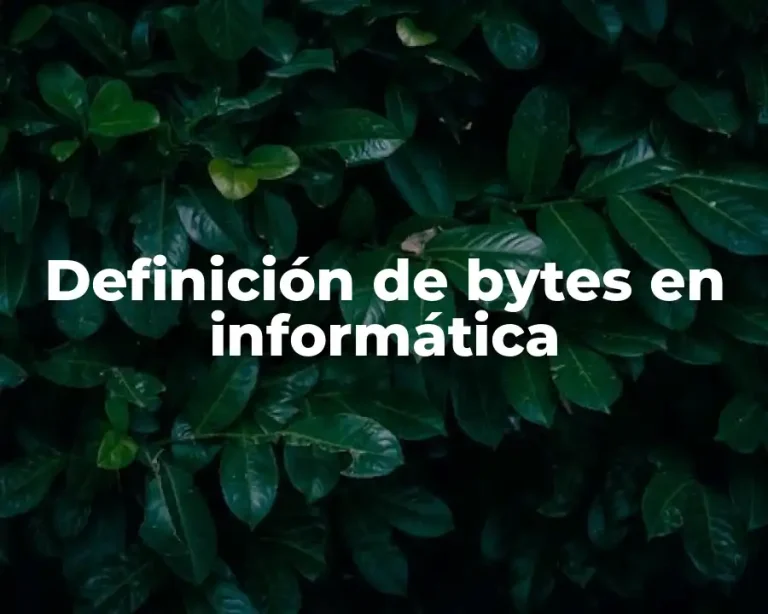 Definición de bytes en informática