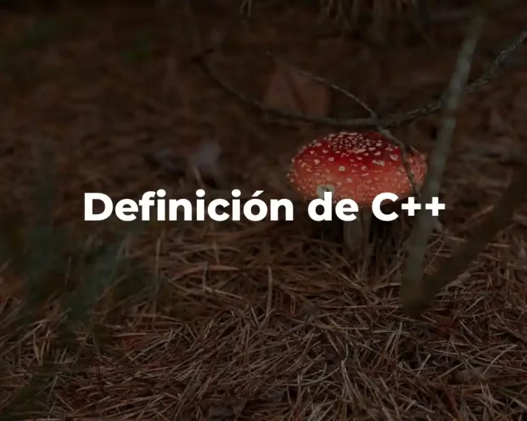 Definición de C++