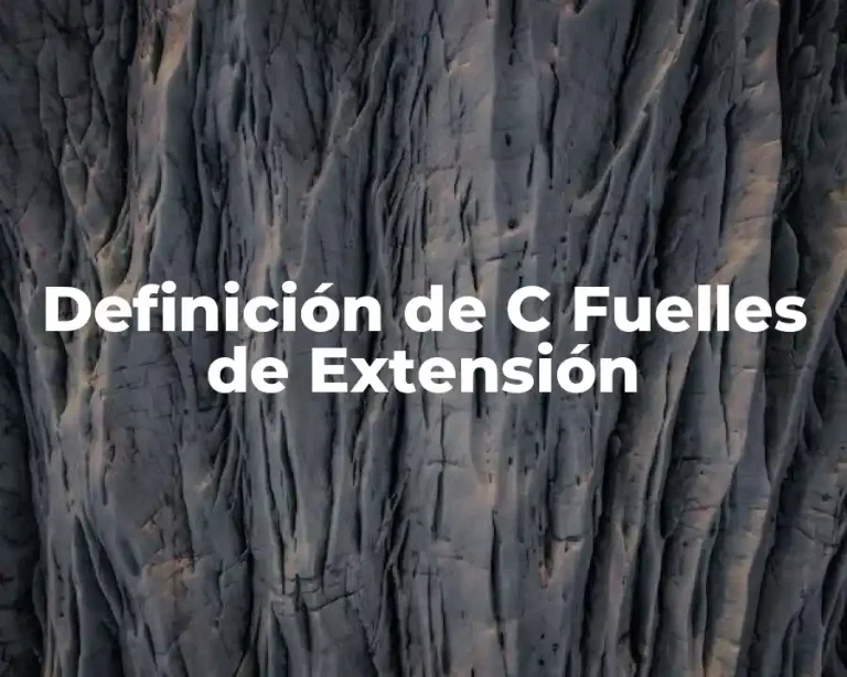 Definición de C Fuelles de Extensión