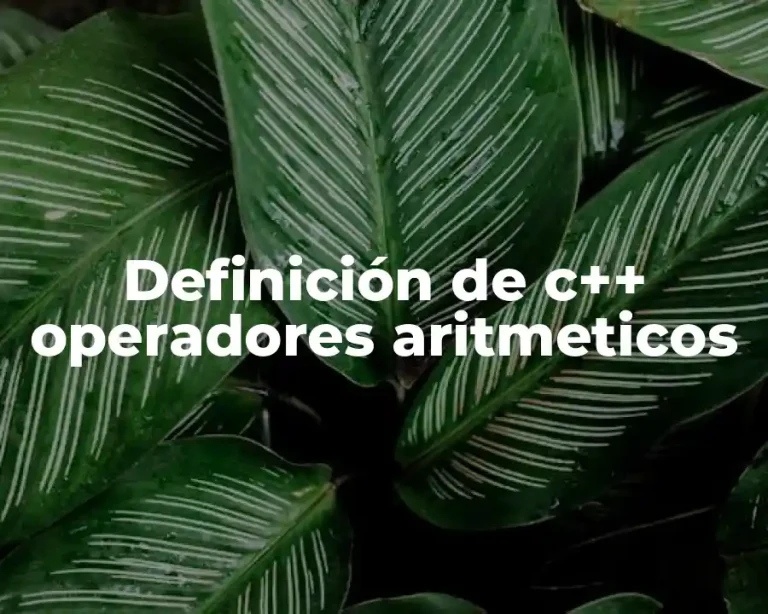 Definición de c++ operadores aritmeticos