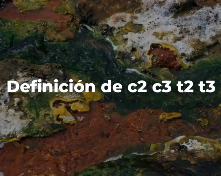 Definición de c2 c3 t2 t3
