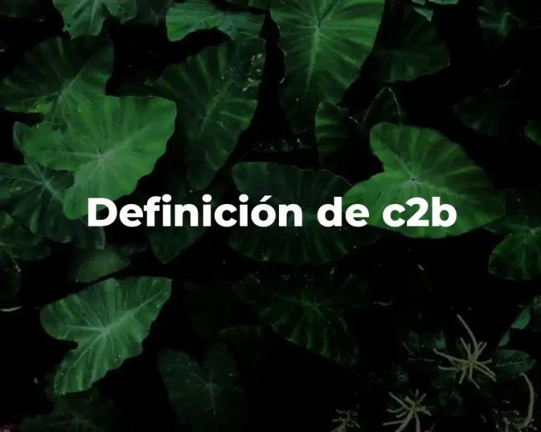 Definición de c2b
