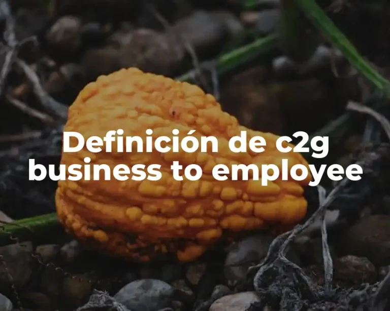 Definición de c2g business to employee