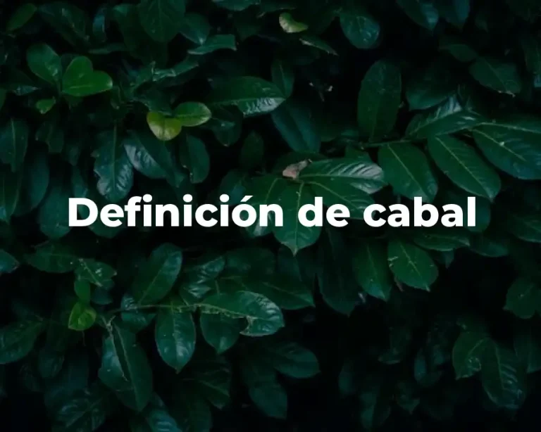 Definición de cabal