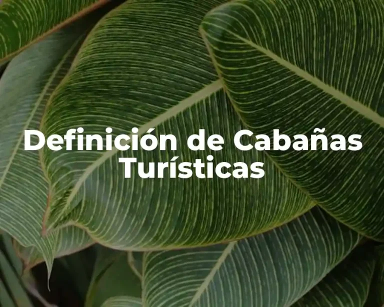 Definición de Cabañas Turísticas