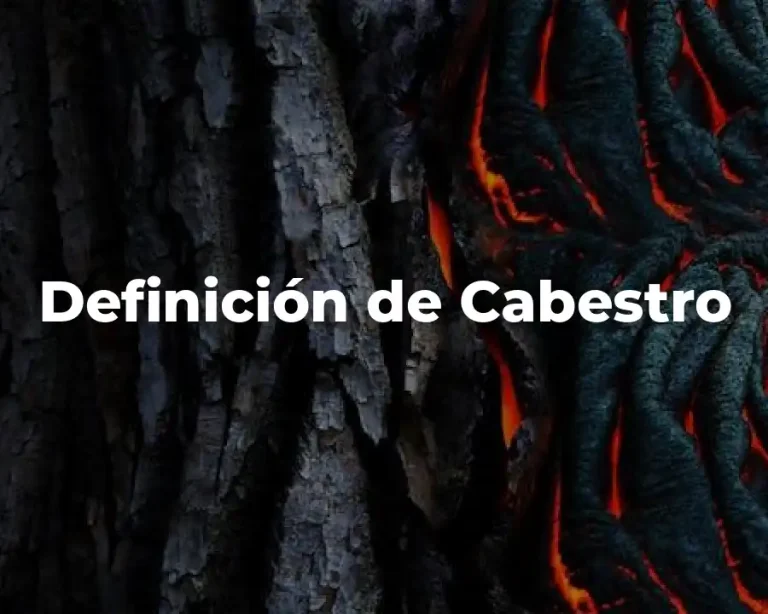 Definición de Cabestro