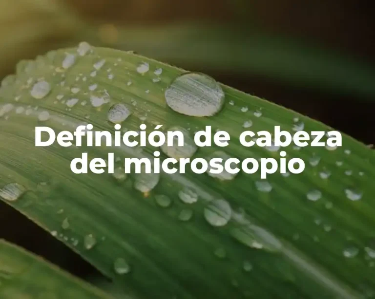 Definición de cabeza del microscopio