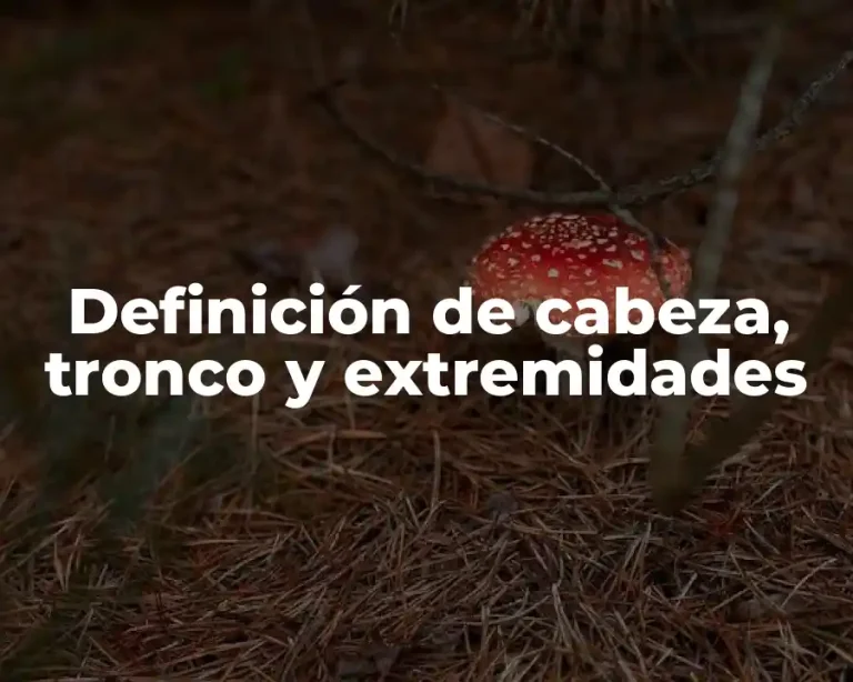 Definición de cabeza, tronco y extremidades