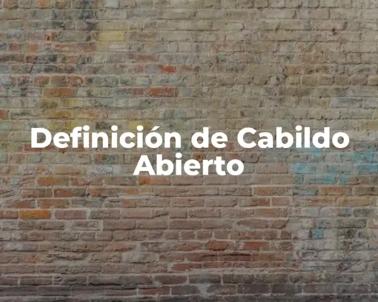 Definición de Cabildo Abierto