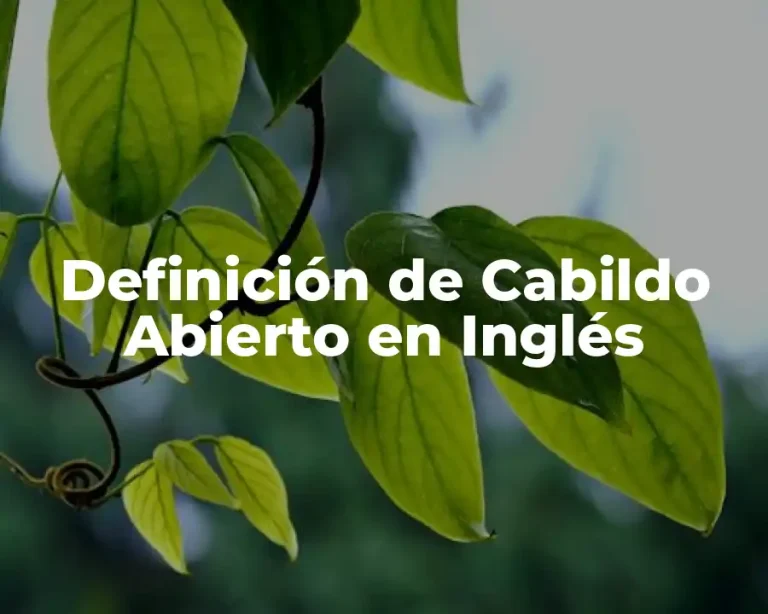 Definición de Cabildo Abierto en Inglés