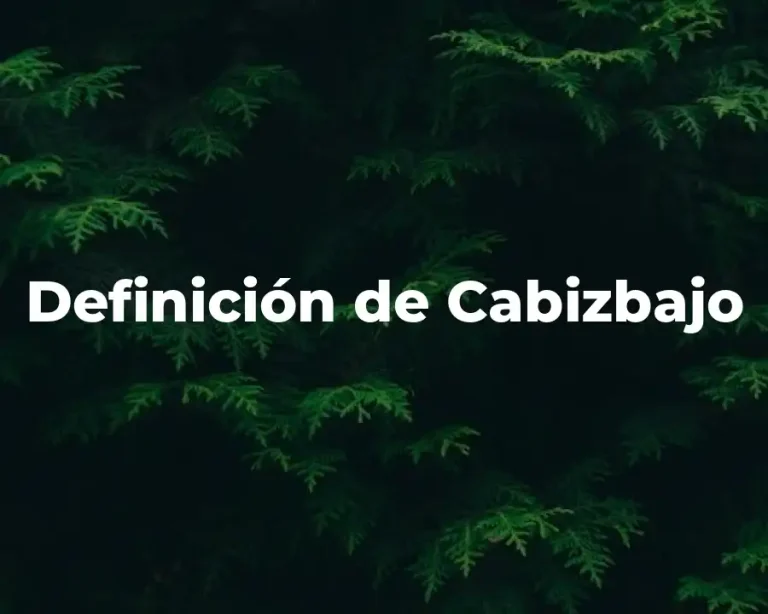 Definición de Cabizbajo