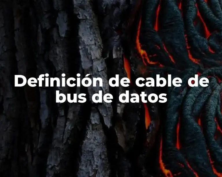 Definición de cable de bus de datos