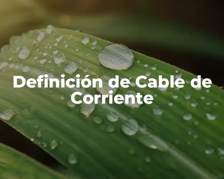 Definición de Cable de Corriente