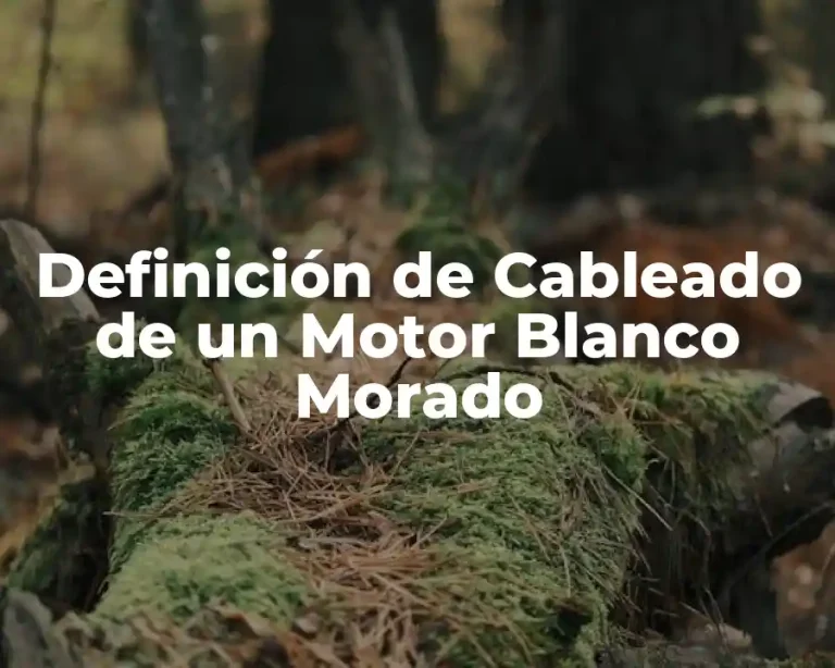 Definición de Cableado de un Motor Blanco Morado