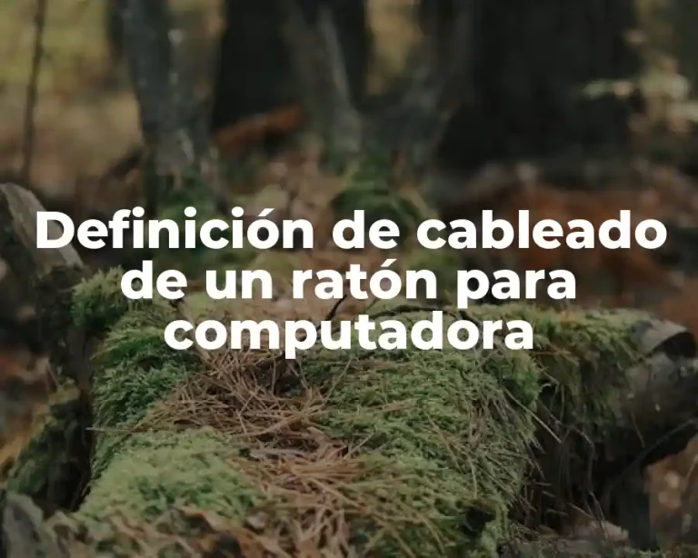 Definición de cableado de un ratón para computadora
