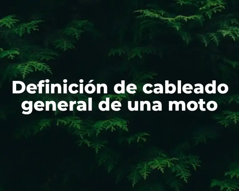 Definición de cableado general de una moto