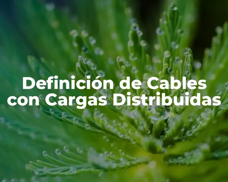 Definición de Cables con Cargas Distribuidas