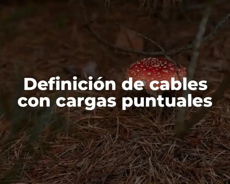 Definición de cables con cargas puntuales